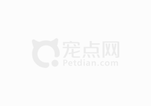 宠物老龄化凸显医疗需求，全国现存宠物医疗相关企业超106.8万家