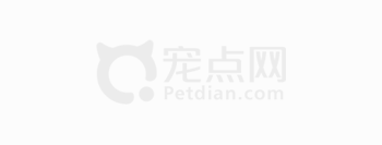 奔赴一场“宠爱”大赶集！2025亚宠展8月20日启幕