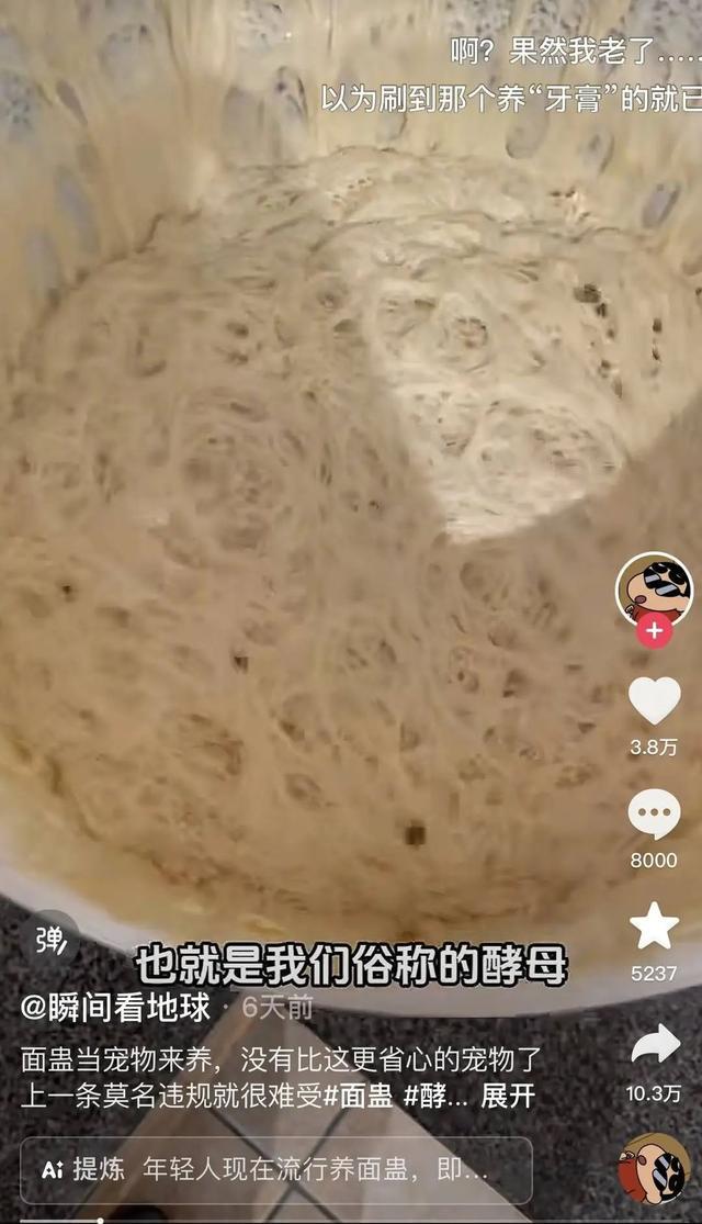 奇奇怪怪的宠物又增加了！这届年轻人的新宠，你可能听都没听过……