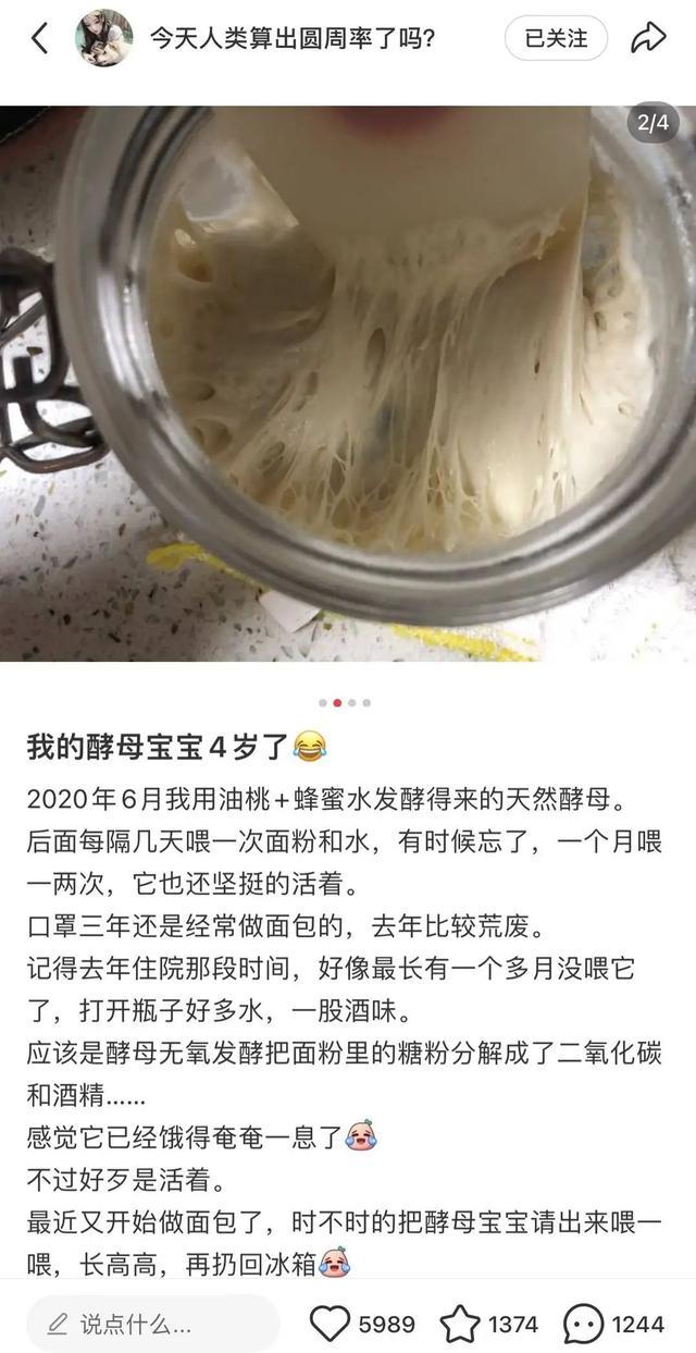 奇奇怪怪的宠物又增加了！这届年轻人的新宠，你可能听都没听过……