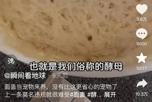 奇奇怪怪的宠物又增加了！这届年轻人的新宠，你可能听都没听过……