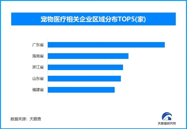宠物老龄化凸显医疗需求，全国现存宠物医疗相关企业超106.8万家