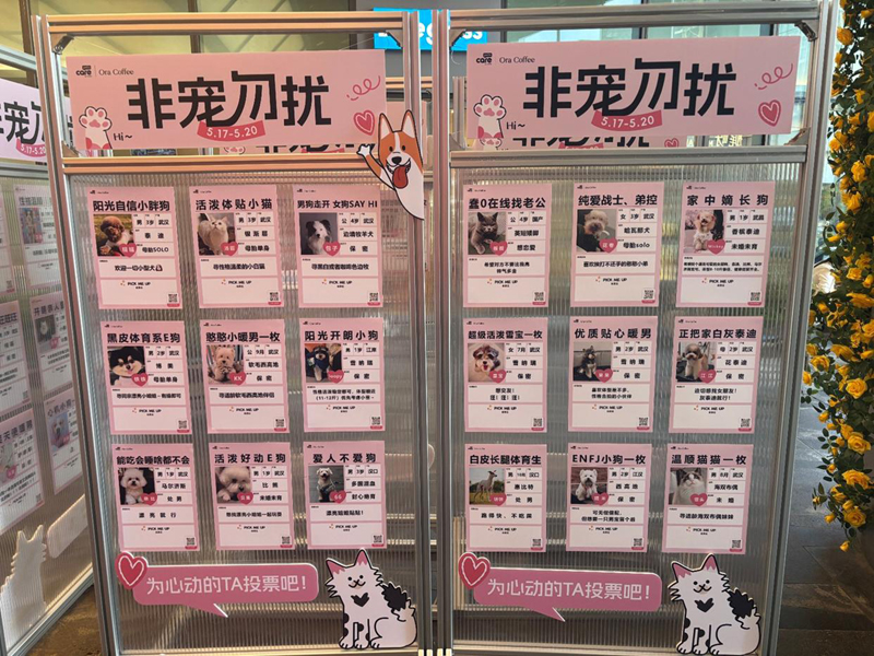 这届年轻人开始为宠物包办婚姻”，商场“宠物相亲角”走红，主人为爱宠定制求偶简历