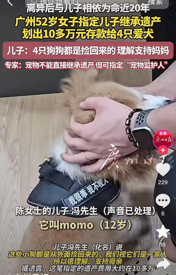 广州一女子立遗嘱给宠物狗留了十几万元，律师：可以指定遗产管理人专款专用