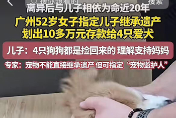 广州一女子立遗嘱给宠物狗留了十几万元，律师：可以指定遗产管理人专款专用