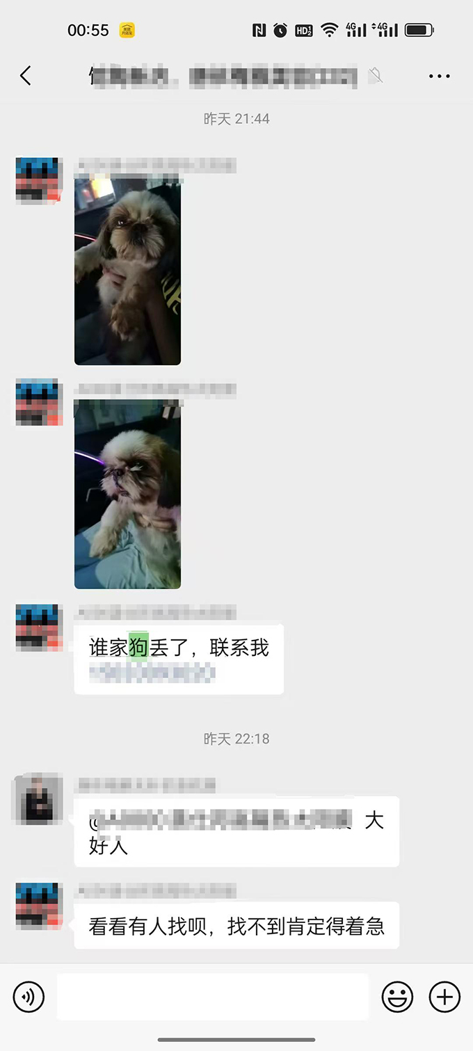 花万元买的西施犬晚上遛弯被人抱走，女子疑惑为啥不立案？律师：警方应依法履行调查职责