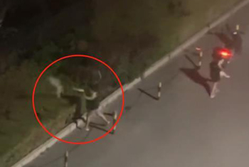 小狗凌晨多次被遗弃至路边绿化带，监控显示它曾狂奔3公里追主人，律师发声