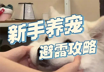 铲屎官必看！山东消协教你养宠物如何“避坑”