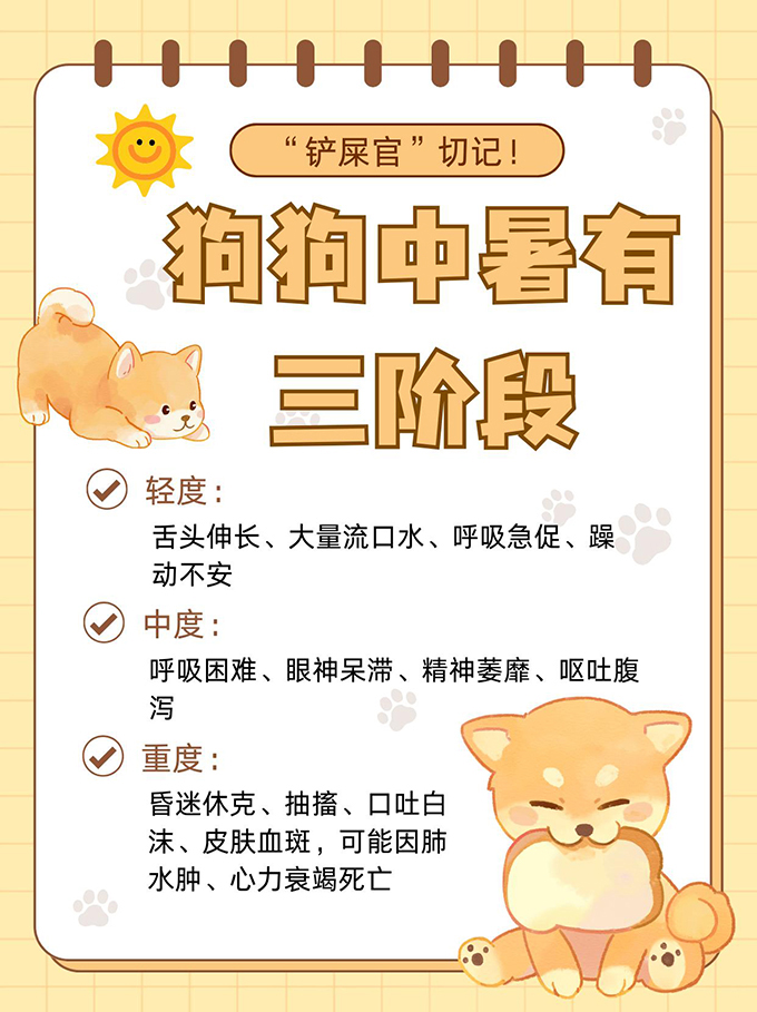 养狗必看！高温天气宠物中暑了怎么办？