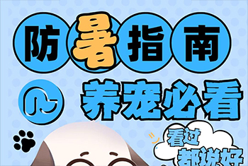 炎热夏季如何保护宠物免受高温侵袭？