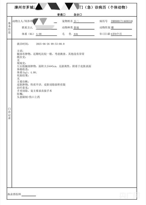 啄木鸟消费投诉｜宠物狗长肿瘤手术后保险“拒赔”，专家：亟待出台“标准条款”