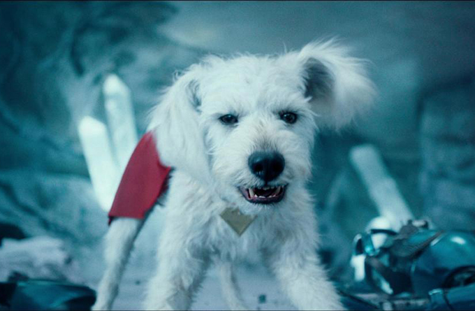 氪星犬比超人更受欢迎，灵感来自导演的小狗