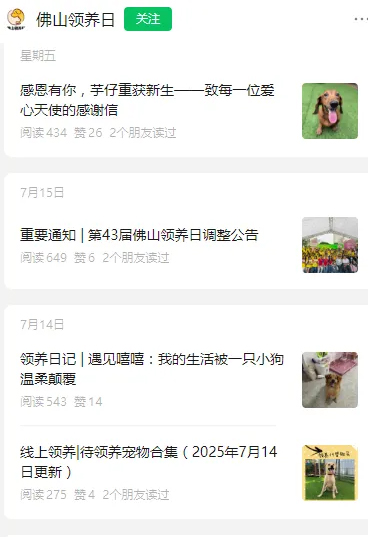 佛山800多只狗狗急待领养！赠送3个月宠物粮及医疗券