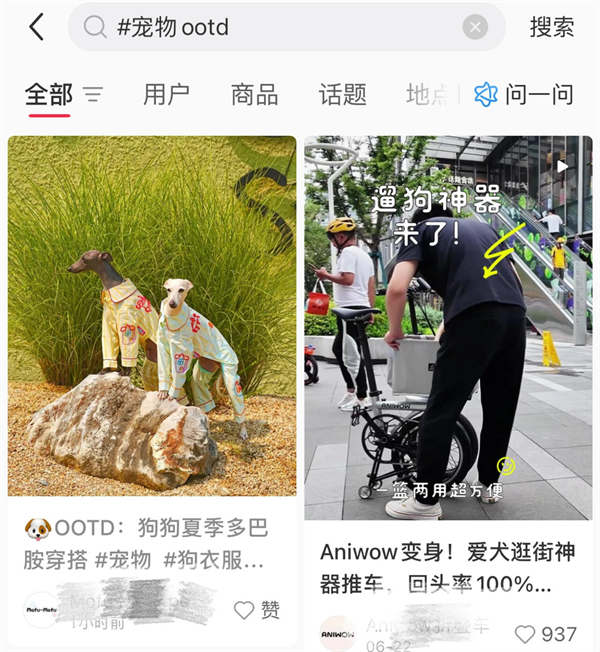 从“萌宠”到“家人”，“宠物经济”爆火年轻消费市场