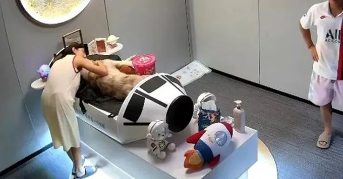 福建女子称狗狗被宠物店烘干箱活活烤死？对方却谎称中暑，涉事门店歇业
