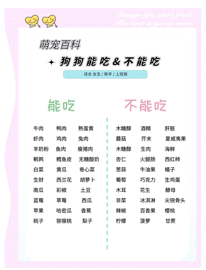新手养狗指南：从迎接新宠到日常喂养的全面攻略