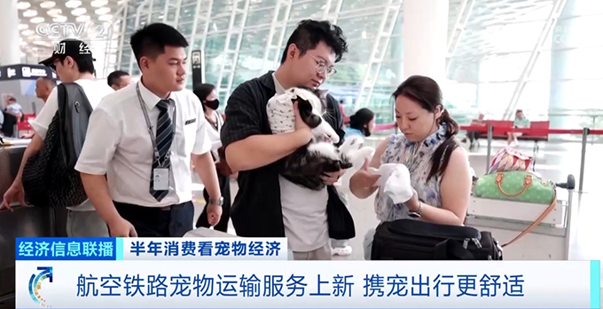 航空铁路宠物运输服务上新，携宠出行还有这些新体验