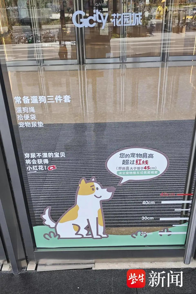 南京“宠物友好商场”遇管理难题：不牵绳、排泄物清理不及时引市民担忧