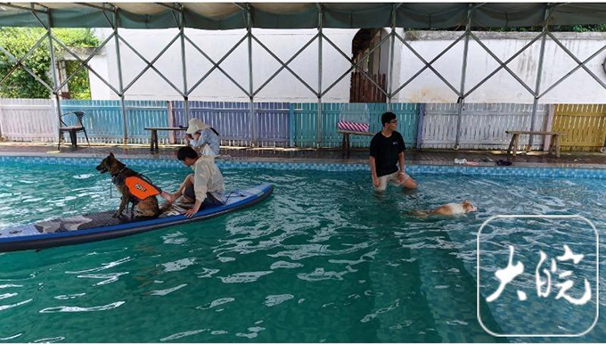 专业宠物乐园成宠主社交新据点