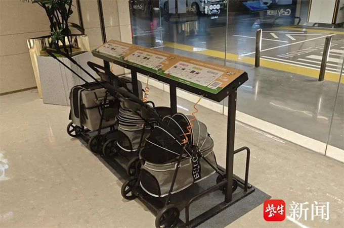 南京“宠物友好商场”遇管理难题：不牵绳、排泄物清理不及时引市民担忧