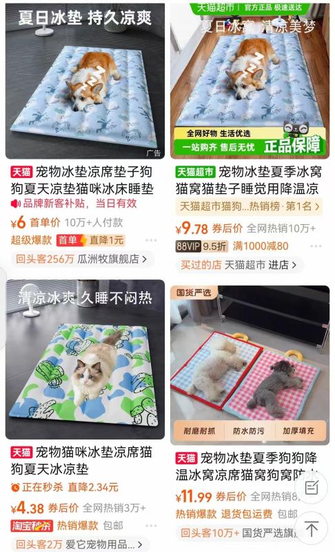 高温催热“它经济”：宠物消暑用品、寄养服务夏季热销