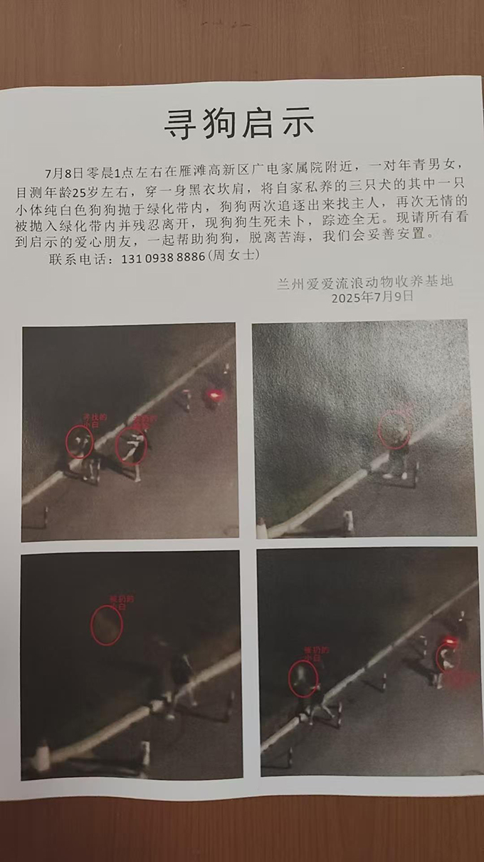 小狗凌晨多次被遗弃至路边绿化带，监控显示它曾狂奔3公里追主人，律师发声