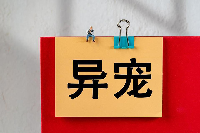 超1700万人养“异宠”，这些隐患可能比你想的更可怕