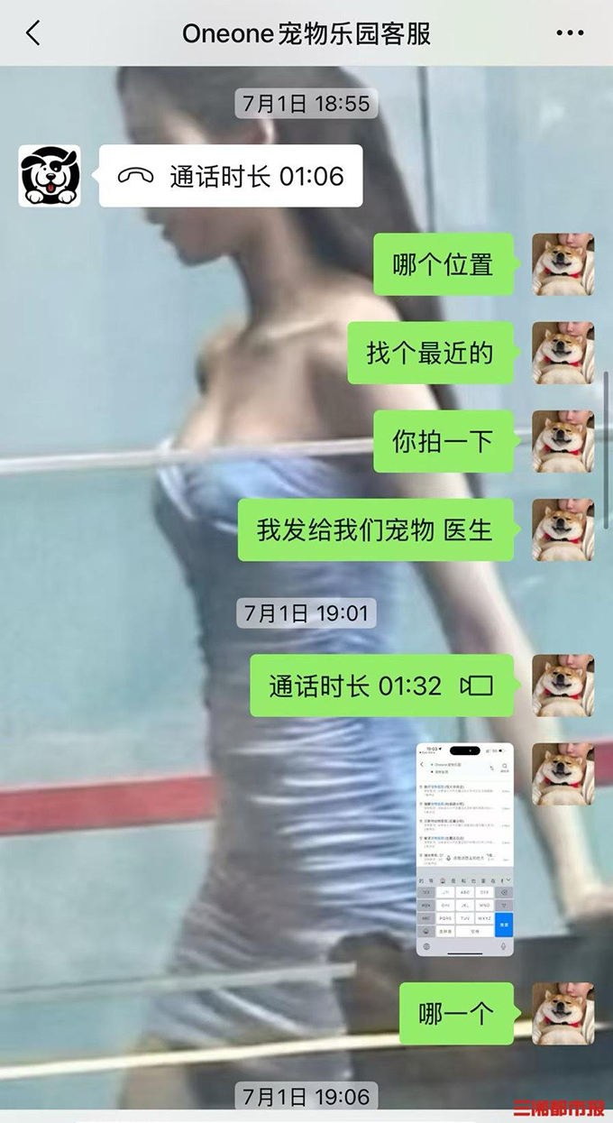 长沙一柴犬在寄养店蹊跷死亡，毛孩子的安全如何守护