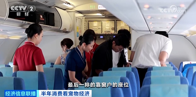航空铁路宠物运输服务上新，携宠出行还有这些新体验
