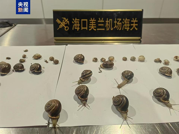 超1700万人养“异宠”，这些隐患可能比你想的更可怕