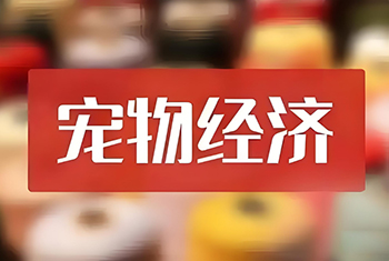 青岛企业“盯上”宠物经济细分赛道，向体验端延伸
