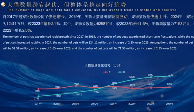就“宠”你！“宠物友好酒店”暑期搜索量同比涨八成