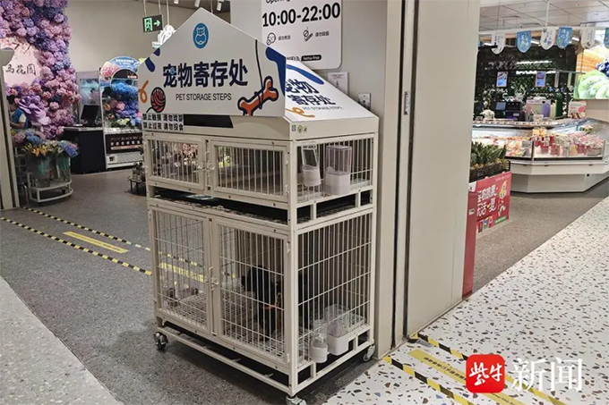 南京“宠物友好商场”遇管理难题：不牵绳、排泄物清理不及时引市民担忧