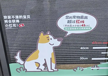南京“宠物友好商场”遇管理难题：不牵绳、排泄物清理不及时引市民担忧