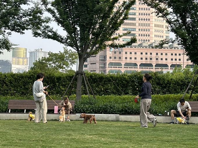 “它经济”撬动上海线下商业体转型，宠物友好带动商场客流同比增长超三成