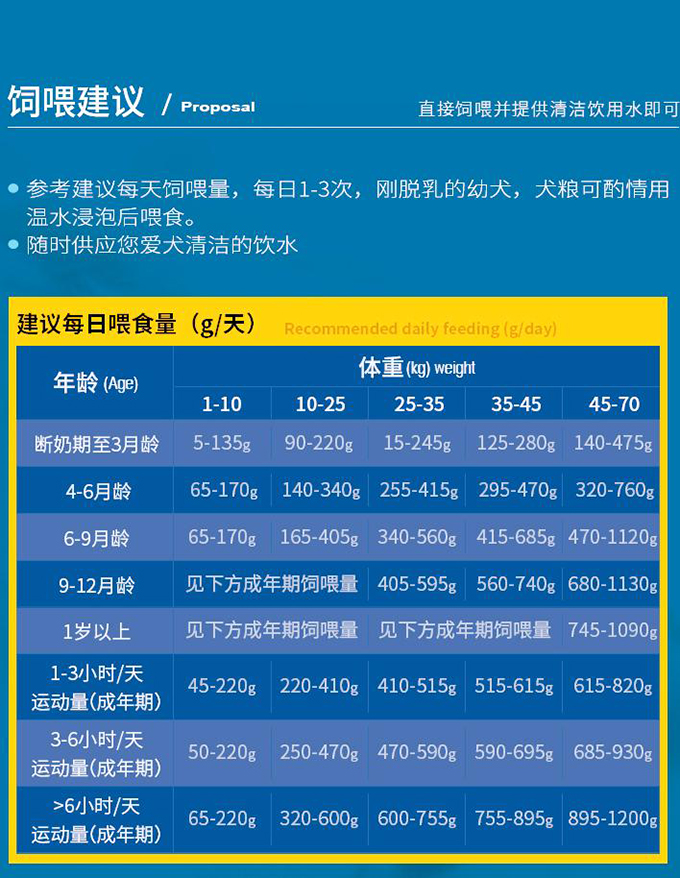 新手养狗指南：从迎接新宠到日常喂养的全面攻略