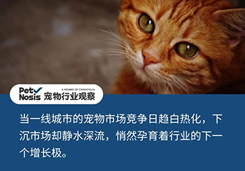 下沉市场，能成为宠物行业的增长新引擎吗？