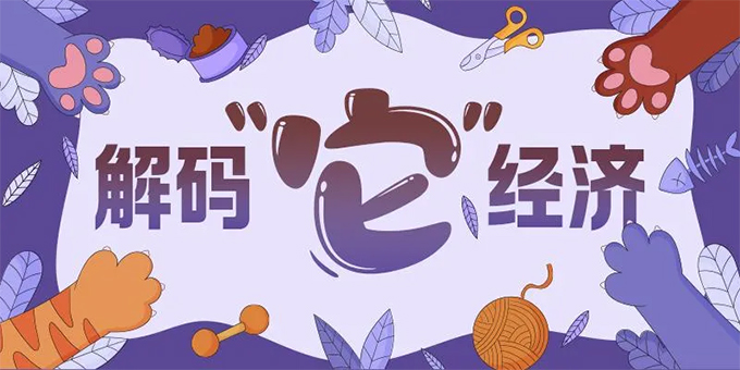 就“宠”你！“宠物友好酒店”暑期搜索量同比涨八成