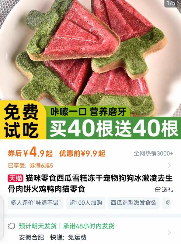 高温催热“它经济”：宠物消暑用品、寄养服务夏季热销