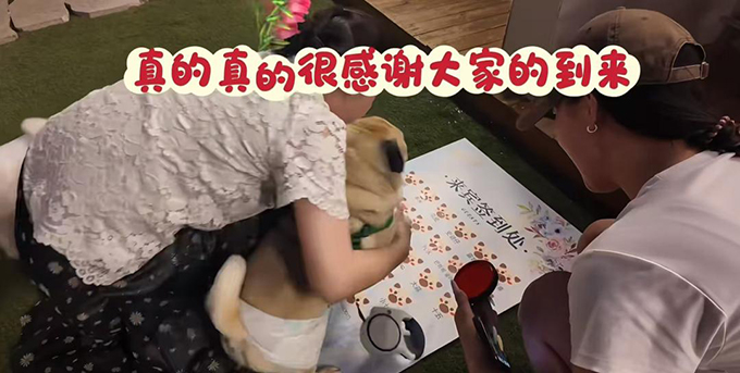 00后女生为宠物狗举办婚礼，完全参照人类婚礼流程