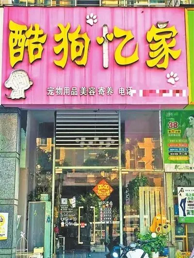 南昌一消费者1200元买比熊犬，11天死亡索赔遇阻