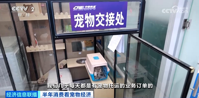 航空铁路宠物运输服务上新，携宠出行还有这些新体验