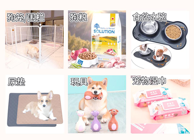 新手养狗指南：从迎接新宠到日常喂养的全面攻略