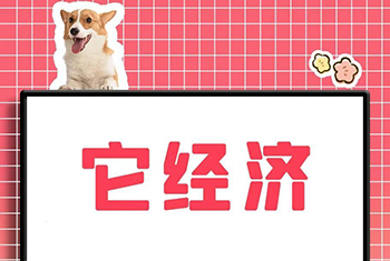 宠物“它经济”崛起 国产品牌快速追赶国际巨头