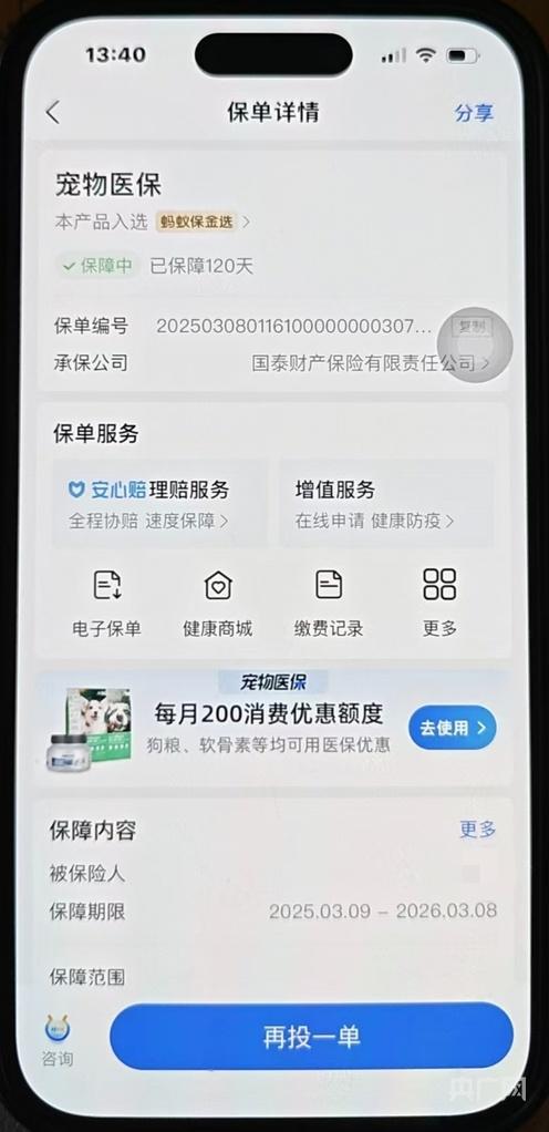 啄木鸟消费投诉｜宠物狗长肿瘤手术后保险“拒赔”，专家：亟待出台“标准条款”
