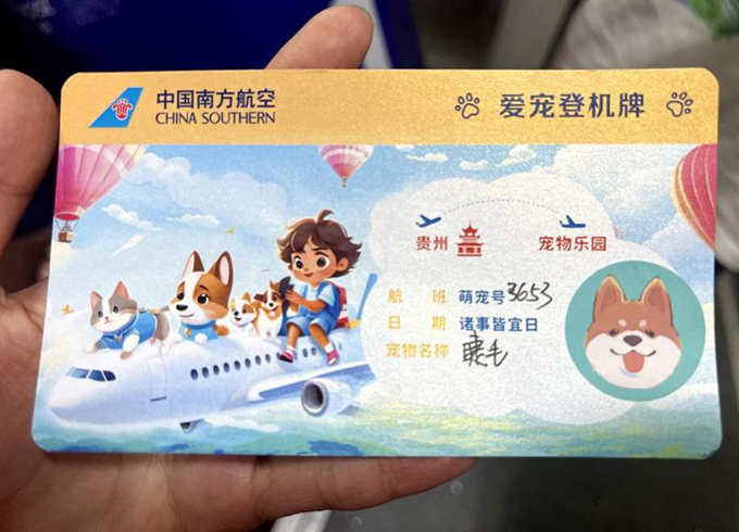 “携宠出行”新场景，贵州首只享“爱宠进客舱”服务宠物顺利出行