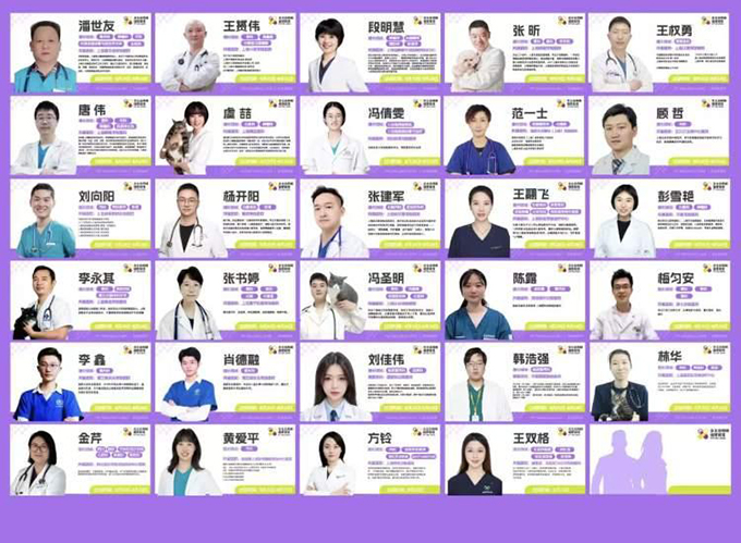 2025亚宠展有30+知名医生坐镇，免费给宠物看“专家号”！现场每天约有十数万人……