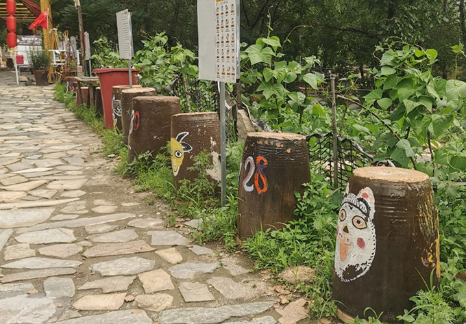 ​​“人搬走了，猫怎么办？” 他给200只猫“建”了座村