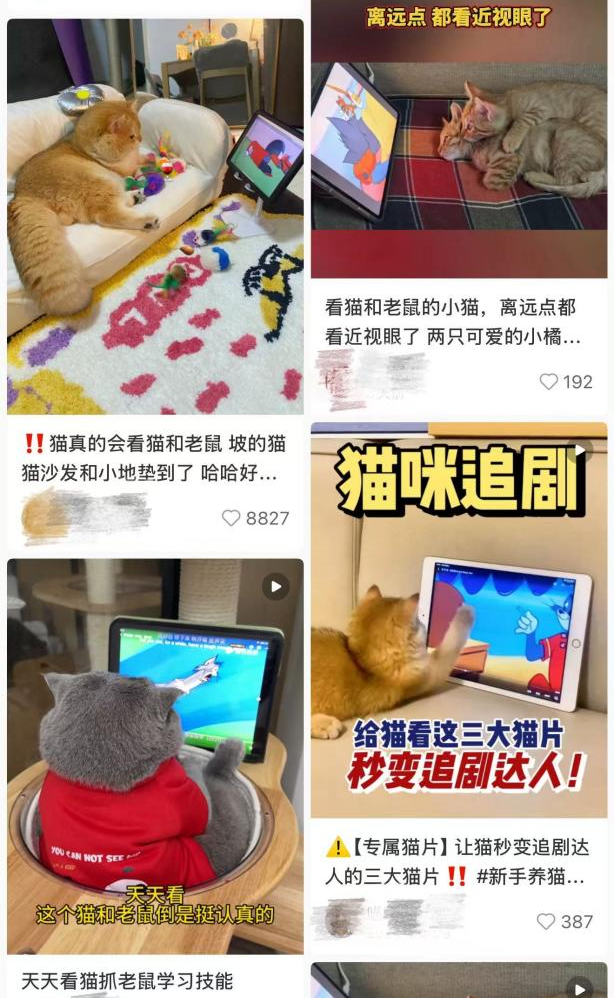 宠物消费新趋势：萌宠专属动画，毛孩子也有追剧的快乐