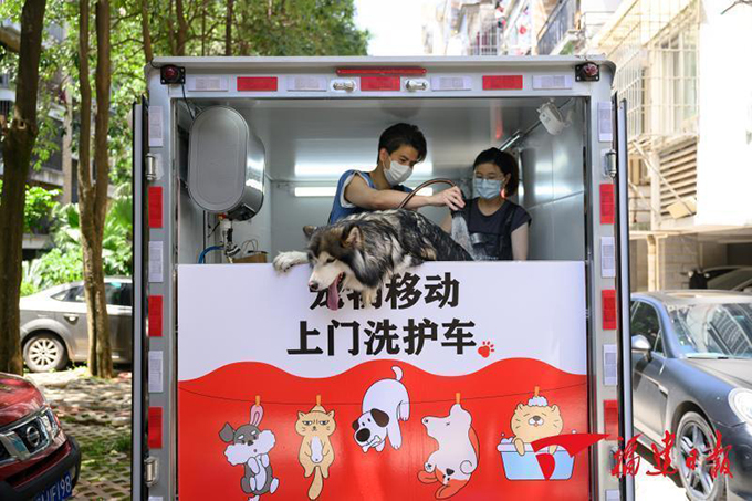 深读｜小萌宠撬动大市场 小品类做出大文章
